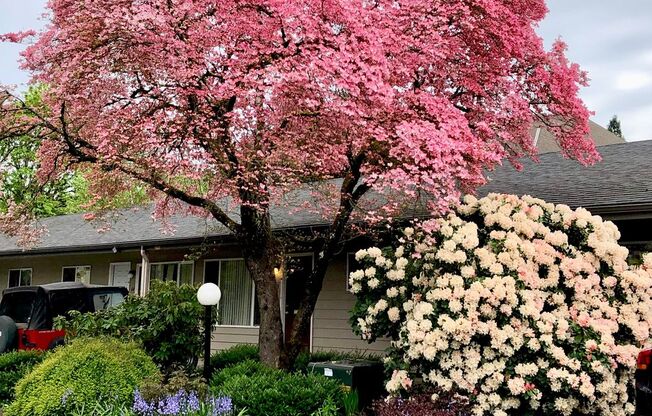 2 beds, 1 bath, 845 sqft, $1,625, Unit 42