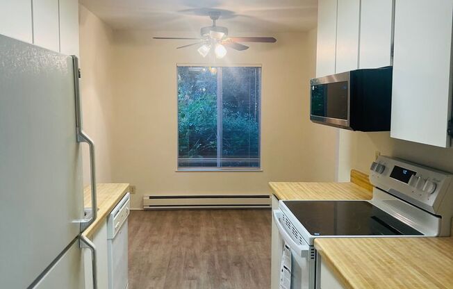 2 beds, 1 bath, $3,000, Unit Unit 133