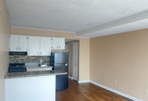 1 bed, 1 bath, $1,150