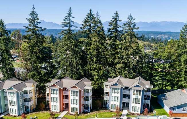 an aerial view of a row of houses with trees and mountains in the background at Woodcreek, Poulsbo, WA 98370