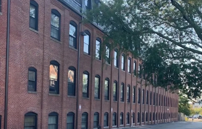21 Linden St 304
