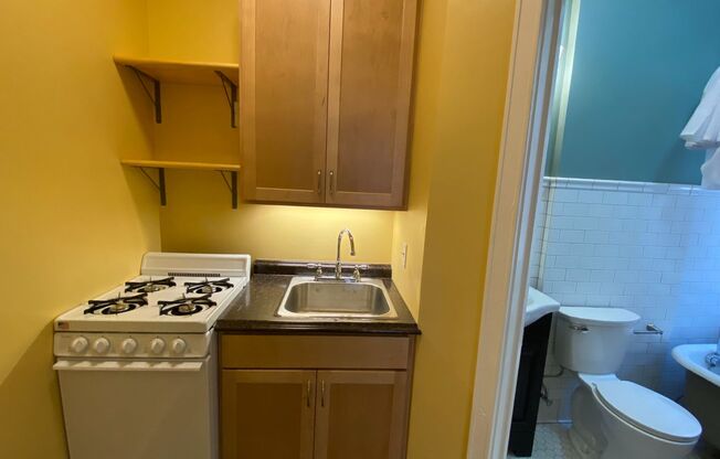 Studio, 1 bath, 180 sqft, $875, Unit 103