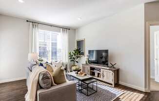 A living room with a grey couch, a coffee table, a television, and a window with white curtains.