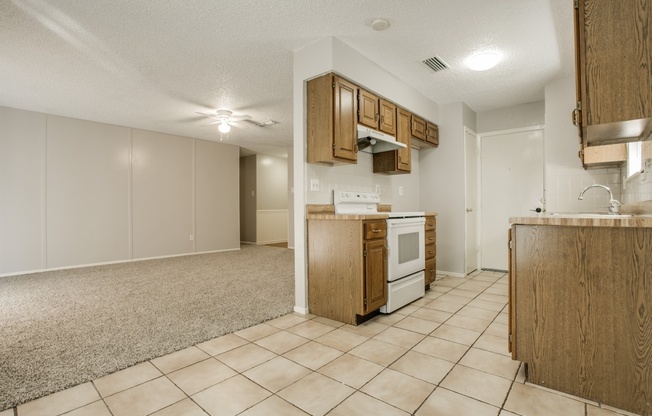 1433 VIRGIE JOE DR