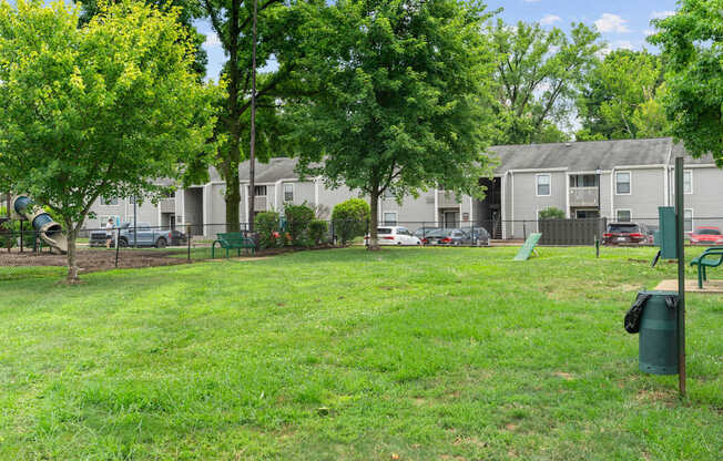Dog Park with Equipment