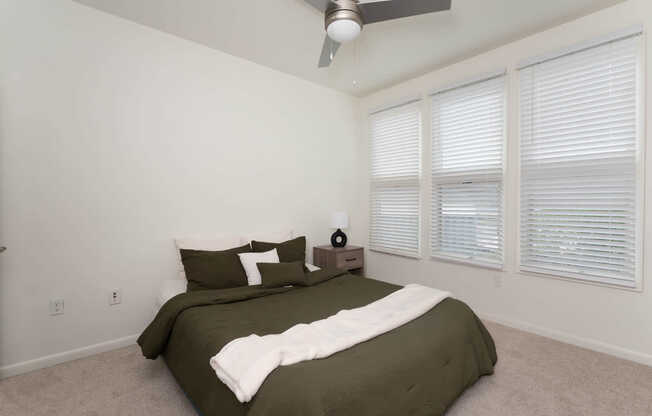 Bedroom with Hard Surface Flooring