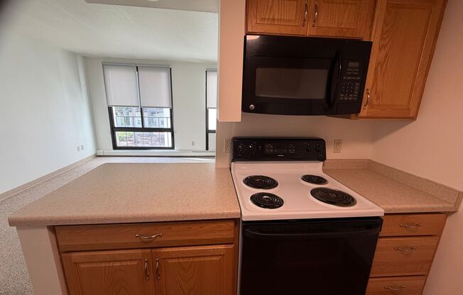1 bed, 1 bath, 750 sqft, $1,095, Unit 203E