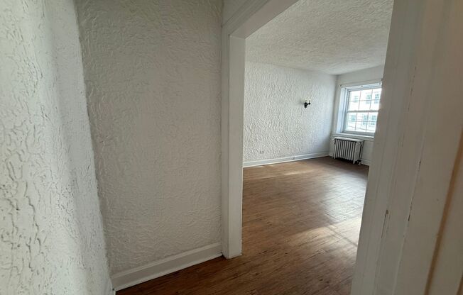 Studio, 1 bath, 308 sqft, $1,175, Unit Bayard Manor 207