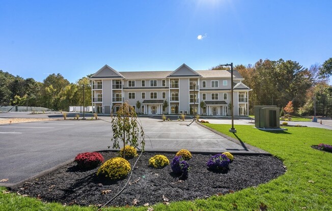 244 MAIN