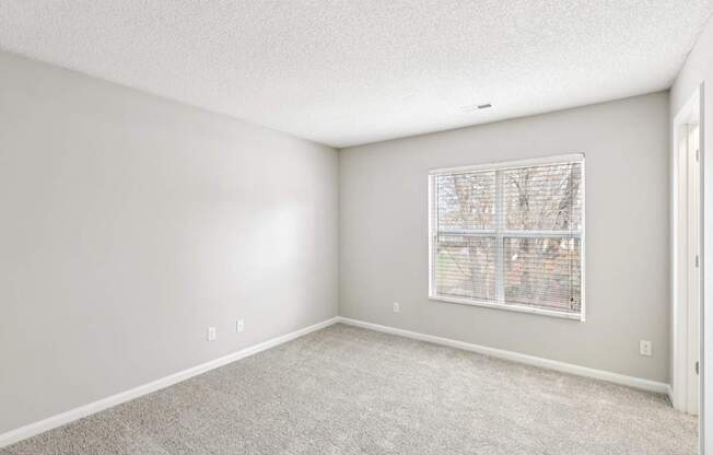 A room with a window and carpeted floor.