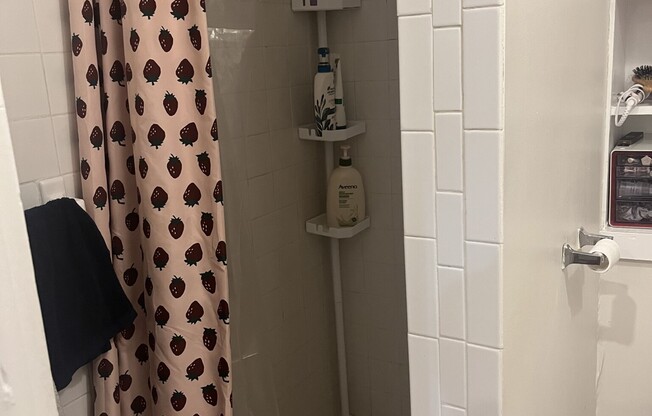 Studio, 1 bath, $2,400, Unit 1