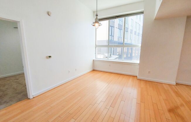 Spacious and Sunlit 1 BR 1 BA in 16th St Heights