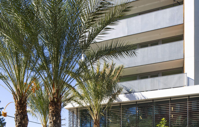 Woodland Hills Lofts - The Q Variel - Property Exterior with White Walls, Balconies, and Palm Trees