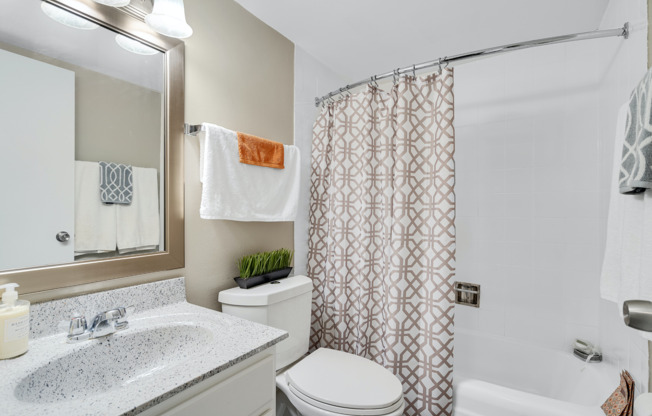 Bathroom | Apartments For Rent in Mount Prospect Illinois | The Element