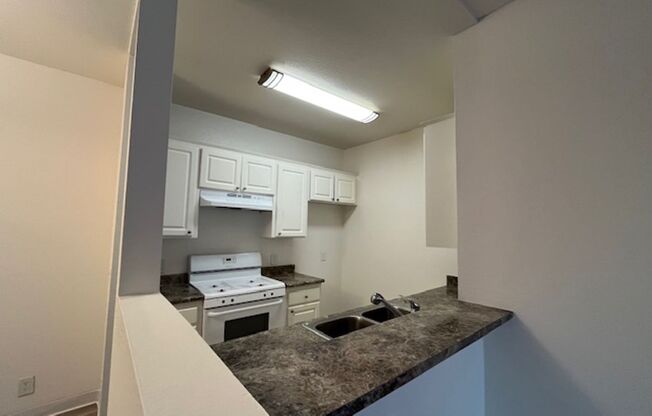 1 bed, 1 bath, 700 sqft, $1,900, Unit D1