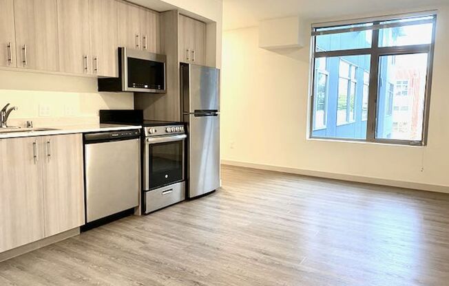 1 bed, 1 bath, 427 sqft, $1,495, Unit 315