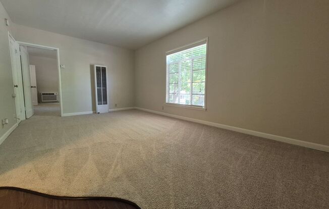 1 bed, 1 bath, $1,625, Unit 16