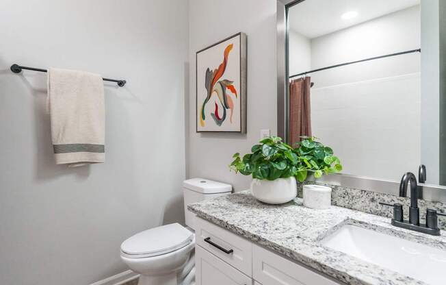 A bathroom with a toilet, sink, and a plant.