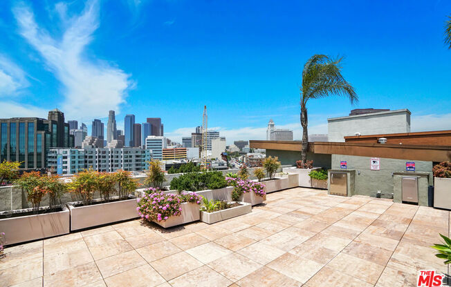 1 bed, 1 bath, 910 sqft, $2,900, Unit 355