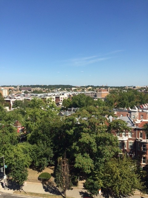 Studio, 1 bath, 405 sqft, $1,695, Unit 0806