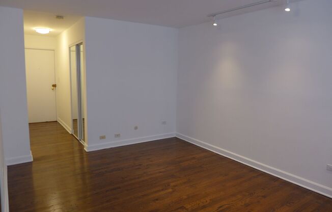 Studio, 1 bath, 305 sqft, $1,250, Unit 409
