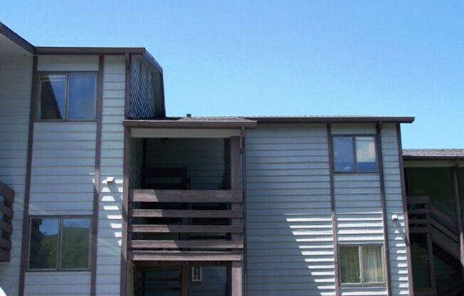 Fresh Paint and New Flooring!   Great location close to MSU, Pete's Hill, Gallagator ; 3rd Floor