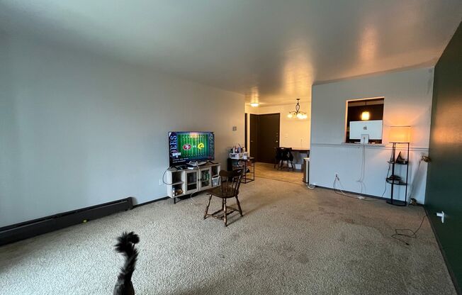 1 bed, 1 bath, $1,095, Unit 112
