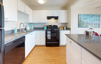 Apartments for Rent in Renton - Sunset View - Black Kitchen Appliances, Granite Countertops, White Cabinets, and Wood-Style Floors