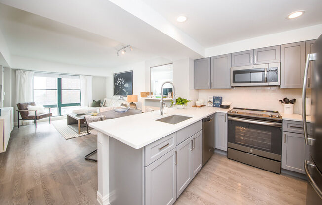 Luxury Apartment in Cambridge MA Gourmet Kitchen