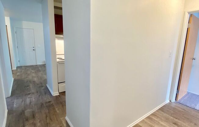 2 beds, 1 bath, 1,000 sqft, $1,295, Unit 313