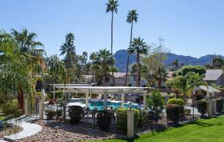 a view of the pool at the club with palm trees