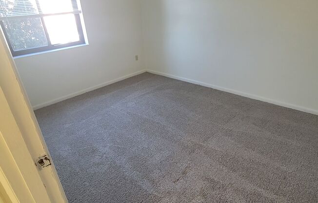 Crafton Apartments