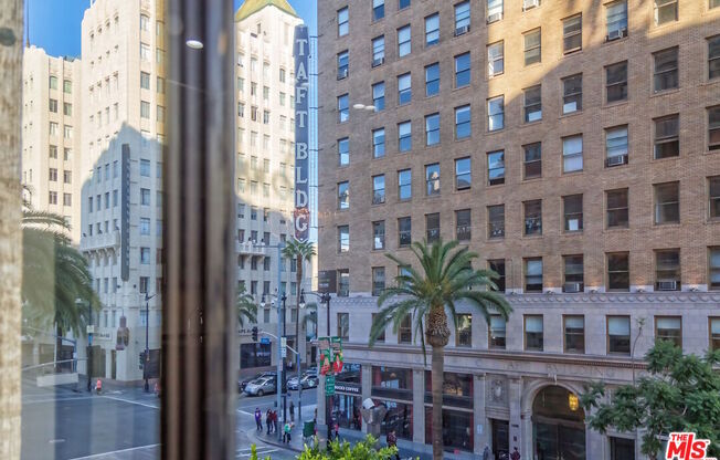 1 bed, 1 bath, 920 sqft, $3,300, Unit 303