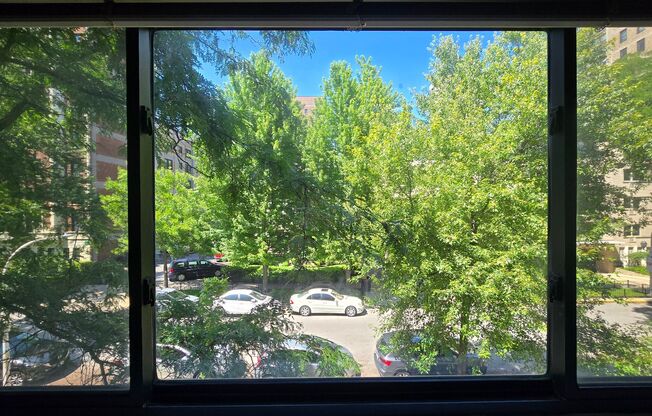 1 bed, 1 bath, 700 sqft, $1,690, Unit 431-#323