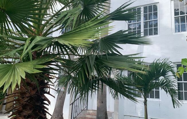 Studio, 1 bath, $1,715, Unit 3
