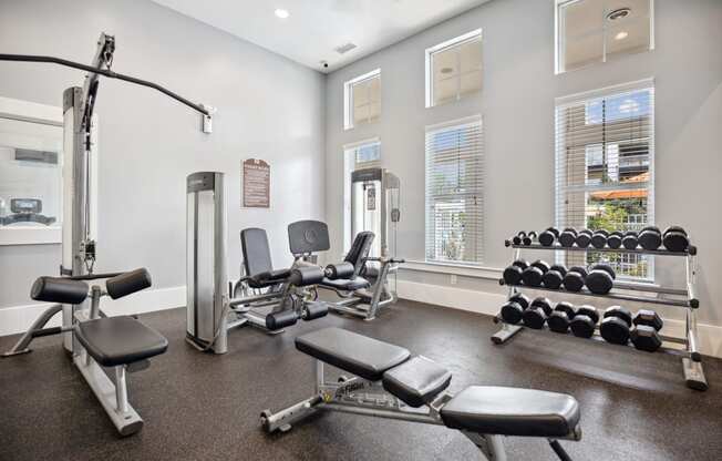 the gym with weights and equipment at the grove at cottonwood apartments