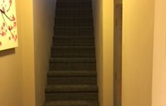 1109 Spruce Street Apt. 1R