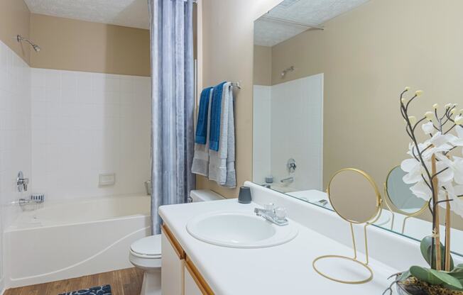 a bathroom with a sink and a bath tub and a mirror
