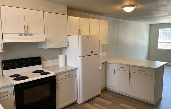 2 beds, 1 bath, $1,295, Unit 2237 S Salmon Lane