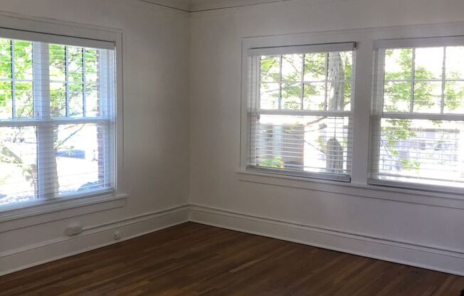 Studio, 1 bath, 389 sqft, $1,199, Unit 100