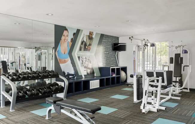 a gym with weights and other exercise equipments and a large wall mural of women at Verona, Littleton, 80123