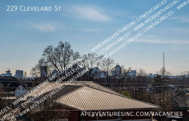 229 CLEVELAND ST