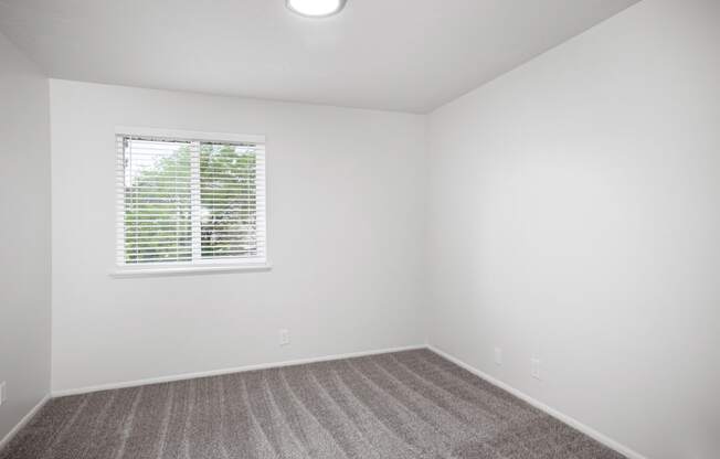 an empty room with carpet and a window