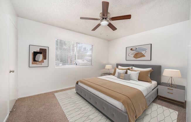 Chester Apartment Homes