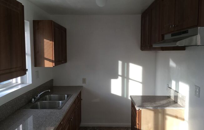 1 bed, 1 bath, 480 sqft, $1,595, Unit 1115