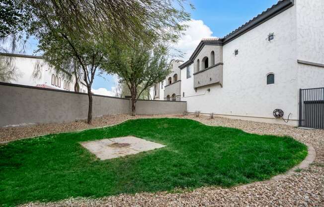 grassy area with trees