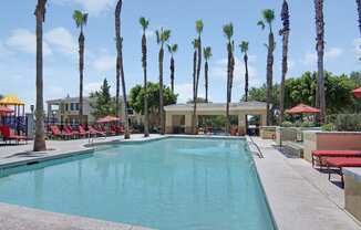 a large pool with red chaise lounges and palm trees in the background