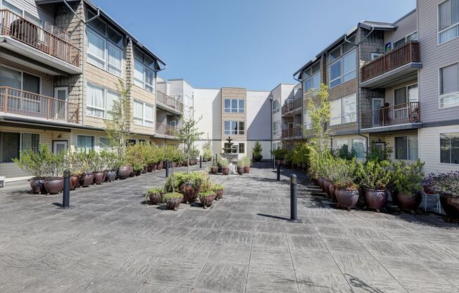 Studio, 1 bath, $1,495, Unit #145