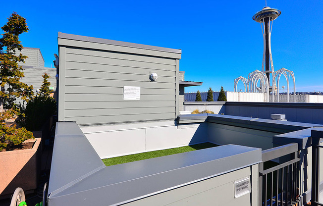 rooftop dog walk gated area at Axis, Washington