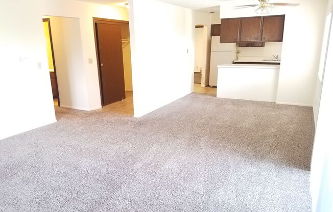 A carpeted room with a ceiling fan and a kitchen area in the background.